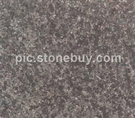 淇县森林绿, G4101, Qixian Forest Green