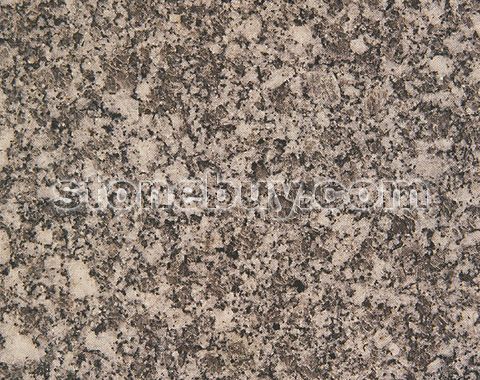 桃江黑白花, G4397, Taojiang Black - Whitc Blossom