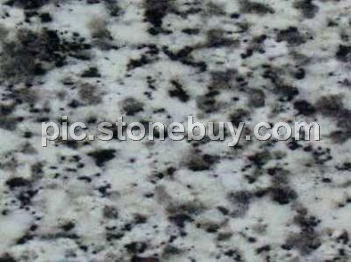 吉林白, G2201, Jilin White