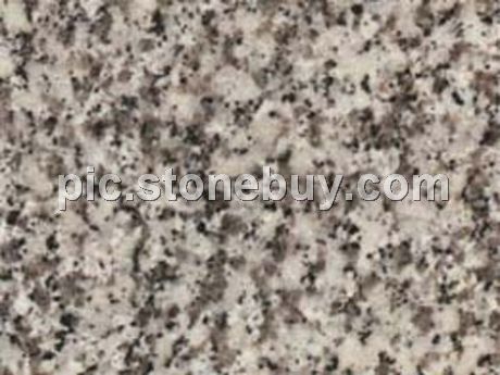 吉林白, G2201, Jilin White