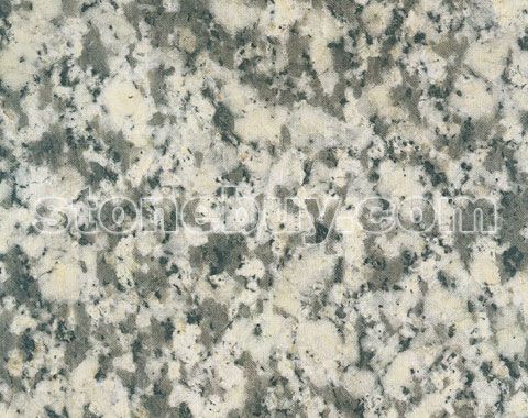 吉林白, G2201, Jilin White