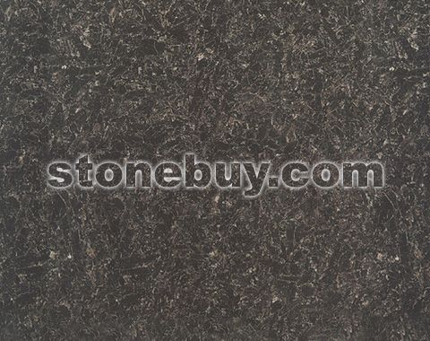 加拿大黑, Lambrian Black