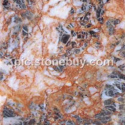 杜鹃红, G2101, Fengcheng Cuckoo Red