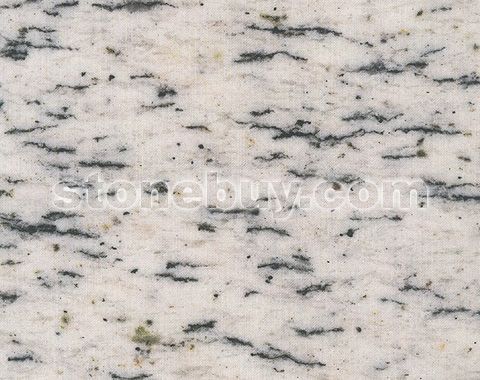 美利坚白麻, Camella White