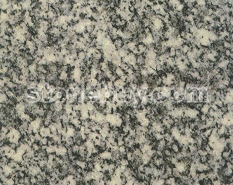 加拿大白, Stanstead Grey