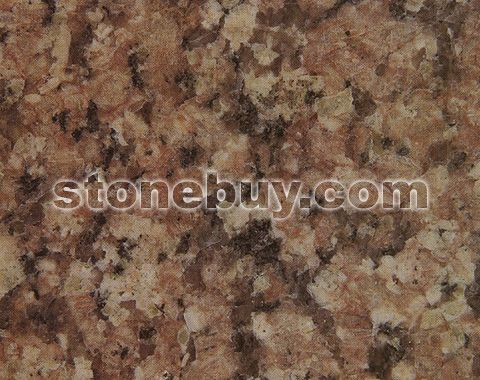 紫丁香, African Lilac