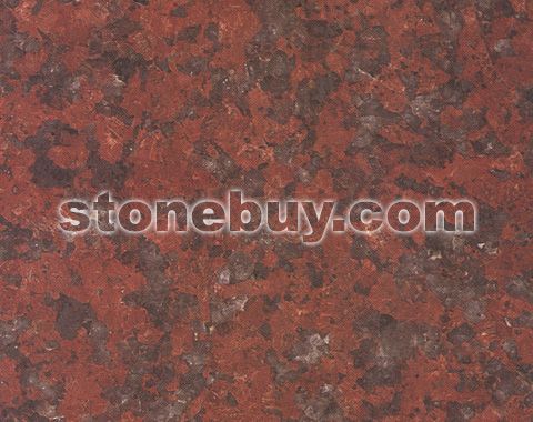 南非红, Africa Red