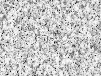 文登白, G365, G3760, Wendeng White