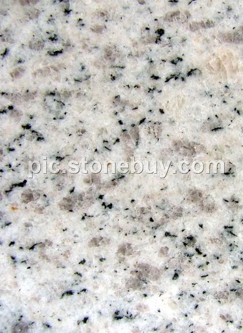 文登白, G365, G3760, Wendeng White