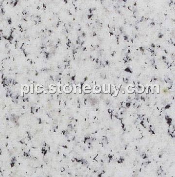 文登白, G365, G3760, Wendeng White