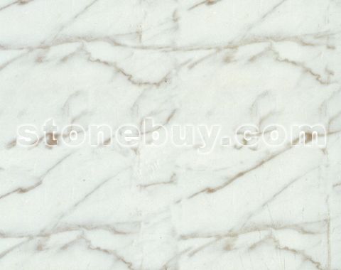 中花白, M3718, Middle White