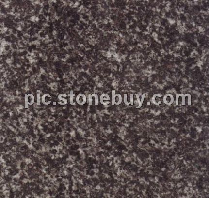 泰白灰, 徂徕灰