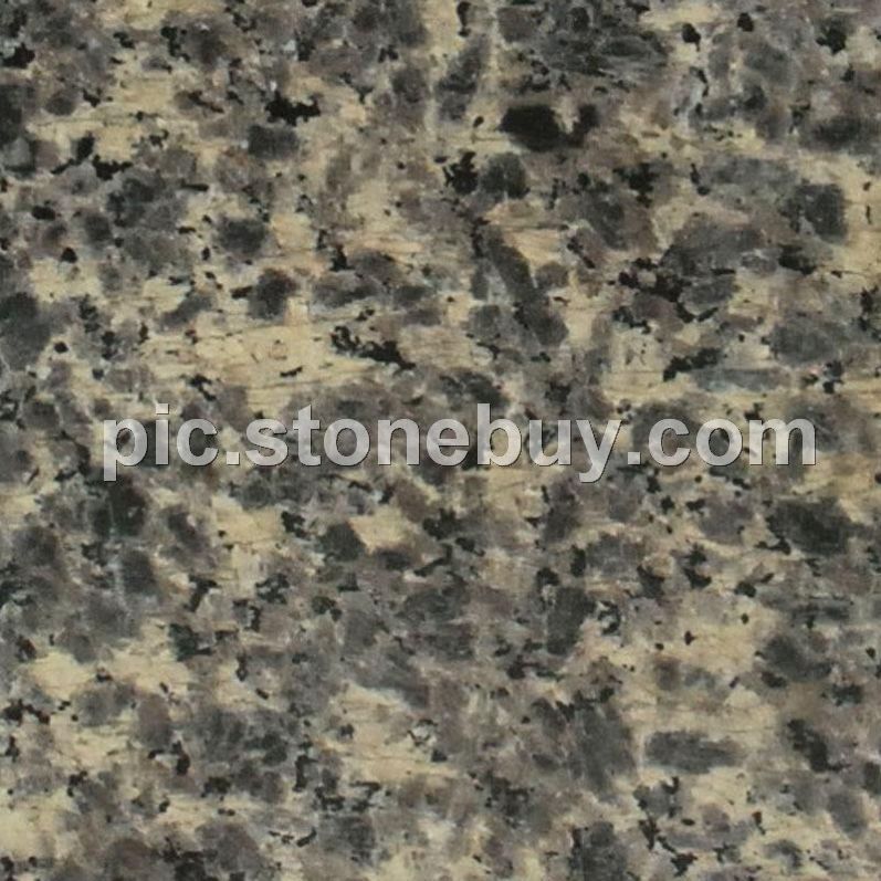 米易豹皮花, G5158, Miyi Leopard Veins