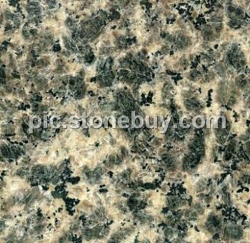米易豹皮花, G5158, Miyi Leopard Veins