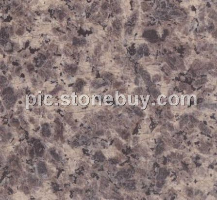米易豹皮花, G5158, Miyi Leopard Veins