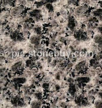 米易豹皮花, G5158, Miyi Leopard Veins
