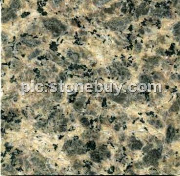 米易豹皮花, G5158, Miyi Leopard Veins