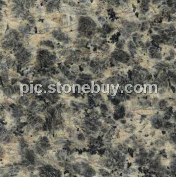 米易豹皮花, G5158, Miyi Leopard Veins