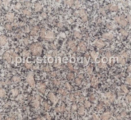 夹金花, G5146, Jiajin Flower