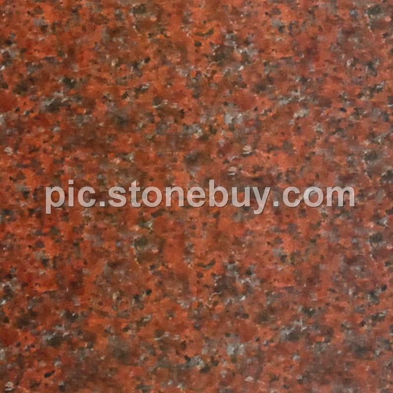 四川红, G5173-C, Sichuan Red