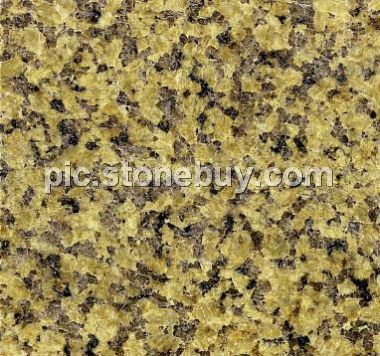 托里菊花黄, G6522, Tuoli Chrysanthemum Yellow