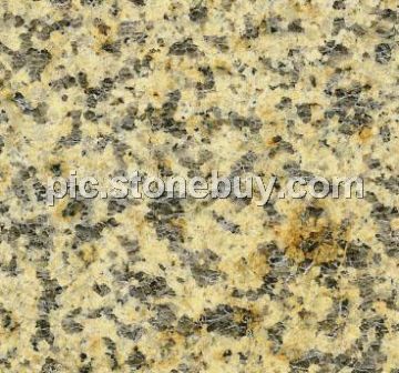 托里菊花黄, G6522, Tuoli Chrysanthemum Yellow