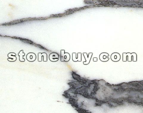 大花白, Broad Veriegated White