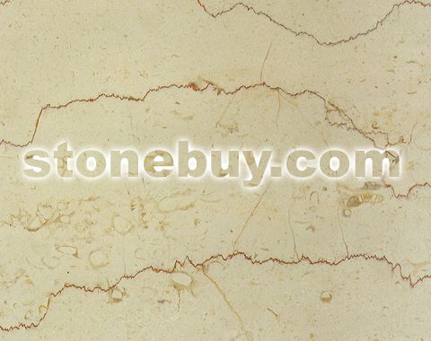 龙舌兰, Shell Beige