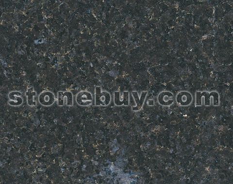 印度黑冰花, Black lavador