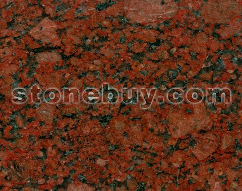 印度红(大花), India Red (Big)