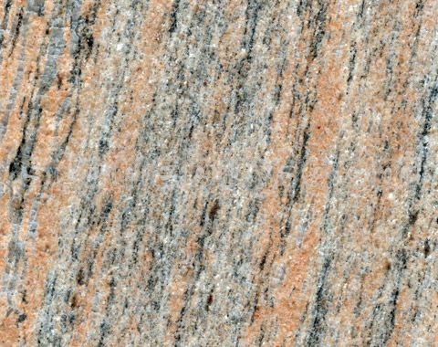 金丝缎, Ivory Indian