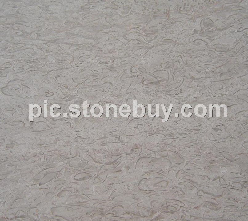 白海棠, M725, M5325, Yunnan White Begonia