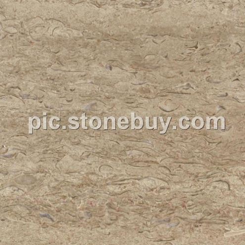 白海棠, M725, M5325, Yunnan White Begonia