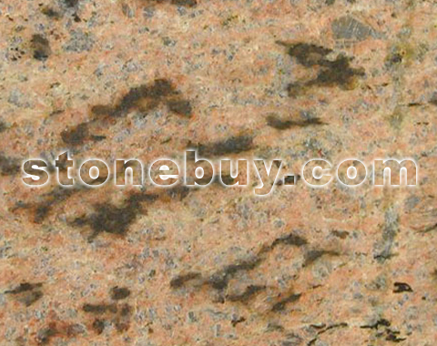 非洲棕, African Brown