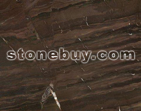 亚马逊棕, Amzon Brown