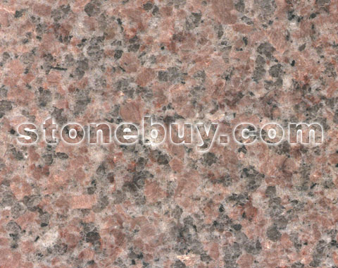 新武夷红, New Red Wuyi