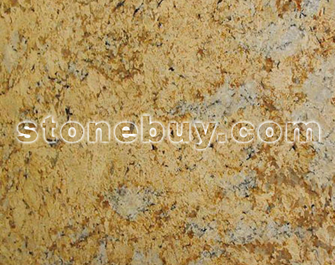 草地金, Golden Meadow