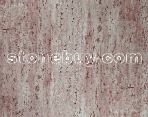 意大利玫瑰, Italian Rose