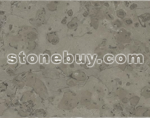 月亮灰, Moon Grey