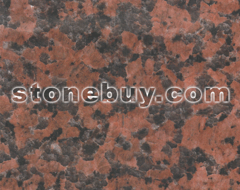 中国小翠红, China Balmoral