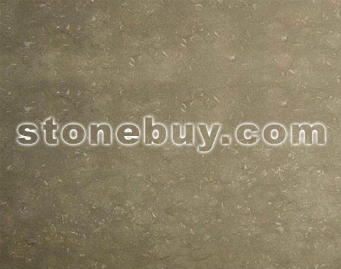 贝壳石, Shellstone
