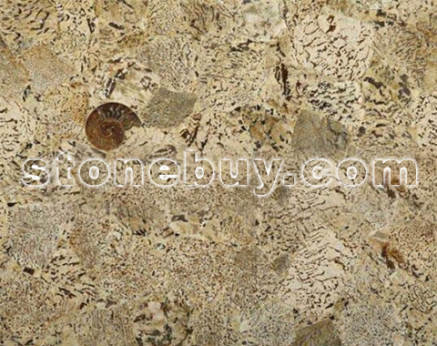 豹纹, Graphic Feldspar