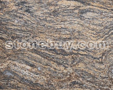 月下蔷薇, Sun Brown