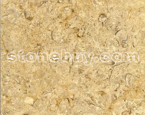 柏丽金, PEARLLY YELLOW