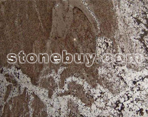 特拉诺瓦, Terra Nova