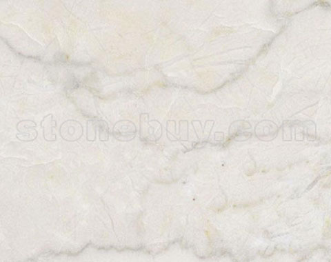 象牙蓝莓, Ivory Beige