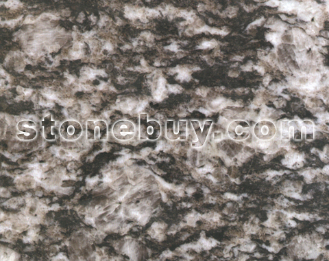 金伯利黑珍珠, Kimberley Black Pearl
